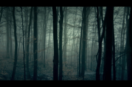 Ghostly II