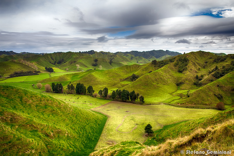 Northern Island Landscape